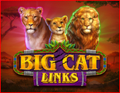 Big Cat Links