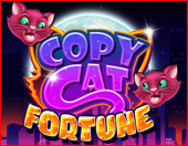 Copy Cat Fortune