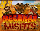 Meerkat Misfits