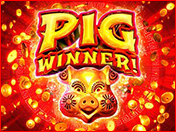 Pig Winner